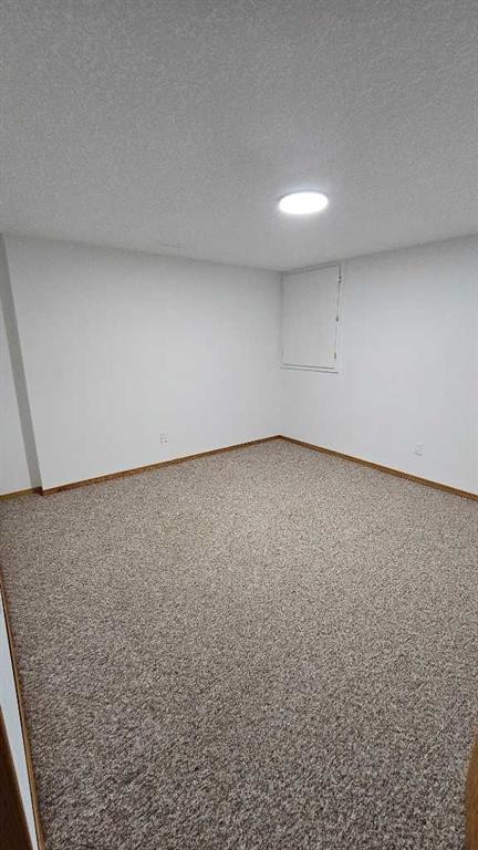 207 Centre Avenue Ne, Milk River, AB - Indoor