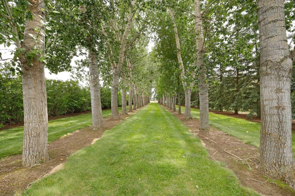 201076 Range Road 142, Rural Newell, County Of, AB - Outdoor