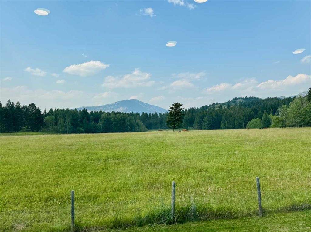 21426 29 Avenue, Bellevue, AB - Outdoor With View