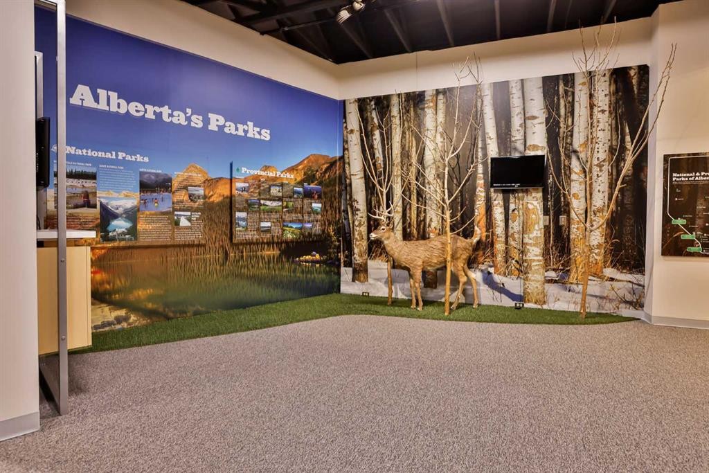 Plan County Of Warner 8810371, Milk River, AB