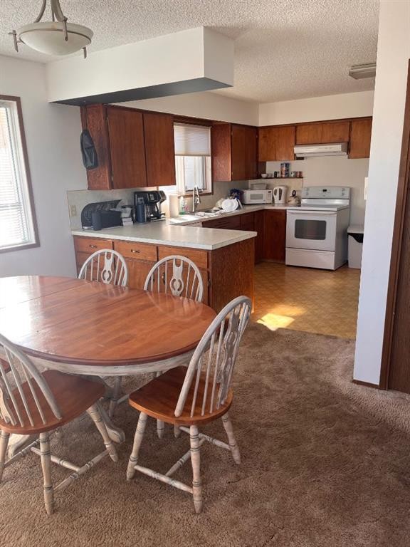 409 Main Street Nw, Milk River, AB - Indoor Photo Showing Kitchen