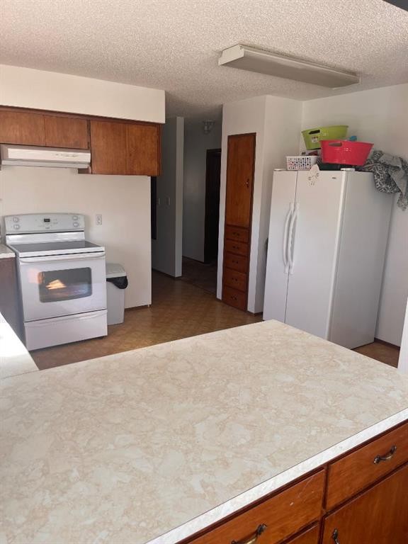409 Main Street Nw, Milk River, AB - Indoor Photo Showing Kitchen