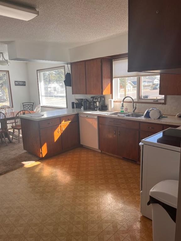 409 Main Street Nw, Milk River, AB - Indoor Photo Showing Kitchen