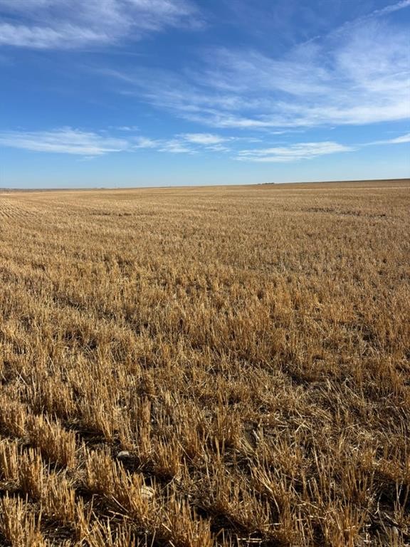 On Rr 224, Barons, AB