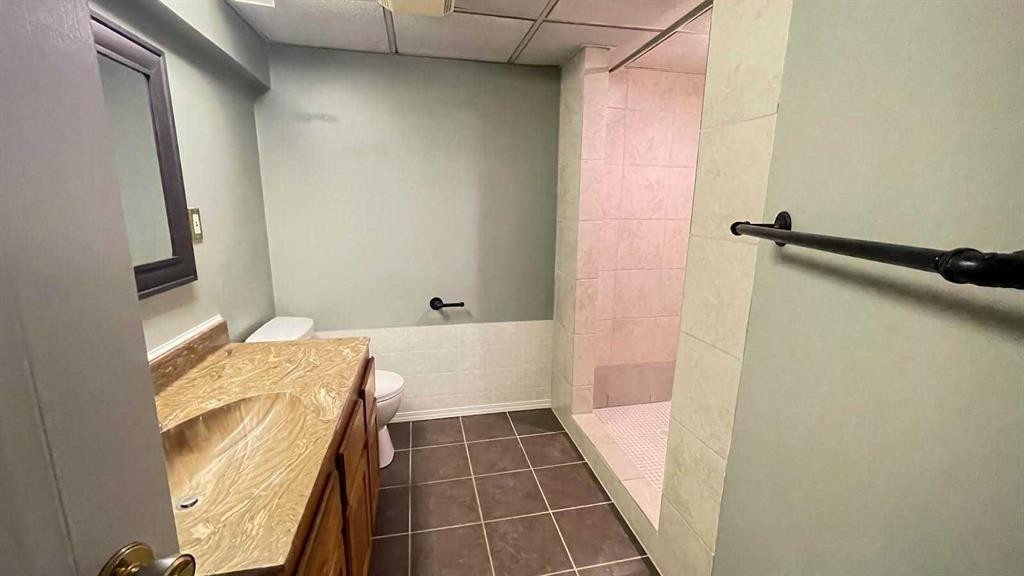 1919 19 Avenue South, Lethbridge, AB - Indoor Photo Showing Bathroom