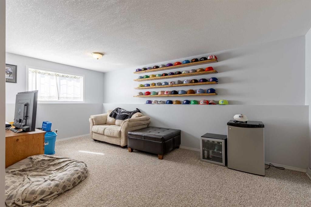 188 Cougar Way North, Lethbridge, AB - Indoor