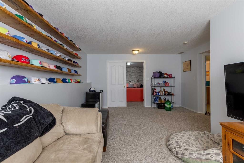 188 Cougar Way North, Lethbridge, AB - Indoor