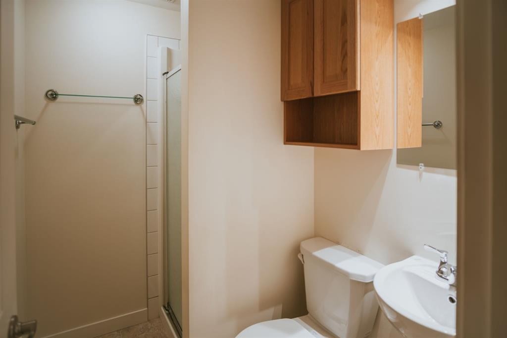 1201 8 Avenue South, Lethbridge, AB - Indoor Photo Showing Bathroom