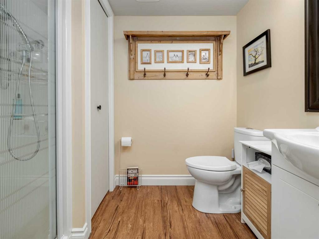 209-20 3 Street South, Lethbridge, AB - Indoor Photo Showing Bathroom