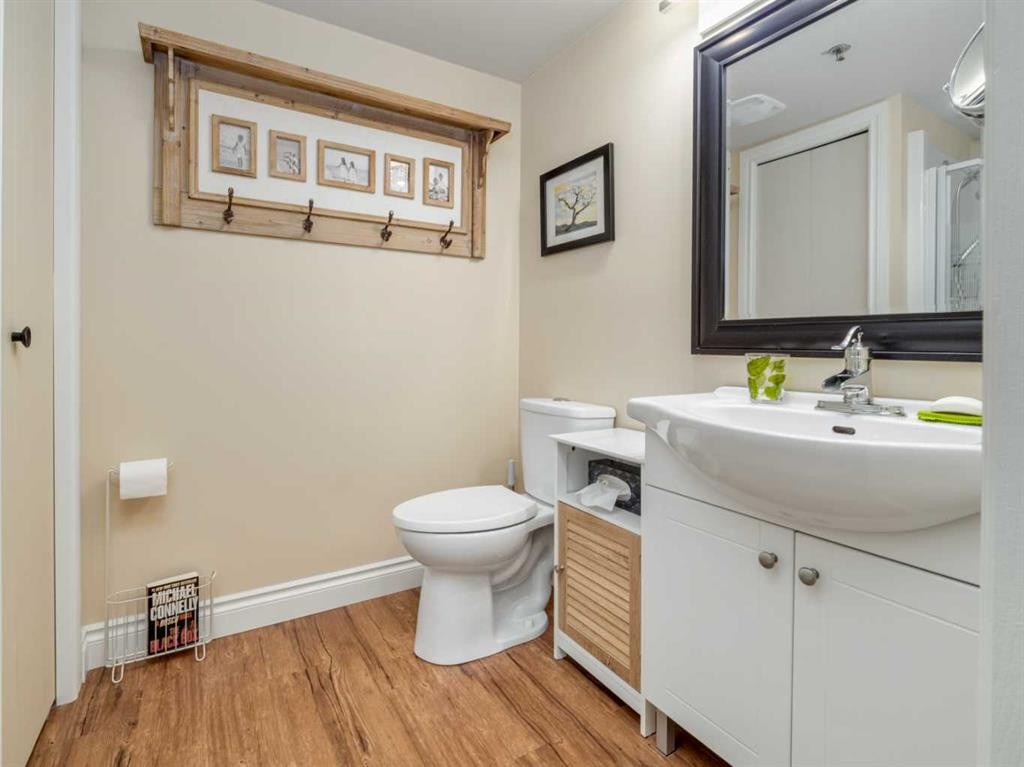 209-20 3 Street South, Lethbridge, AB - Indoor Photo Showing Bathroom
