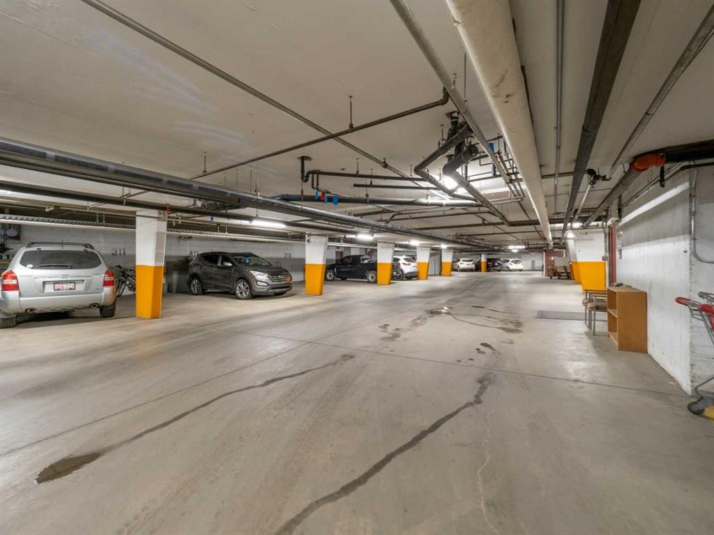 209-20 3 Street South, Lethbridge, AB - Indoor Photo Showing Garage