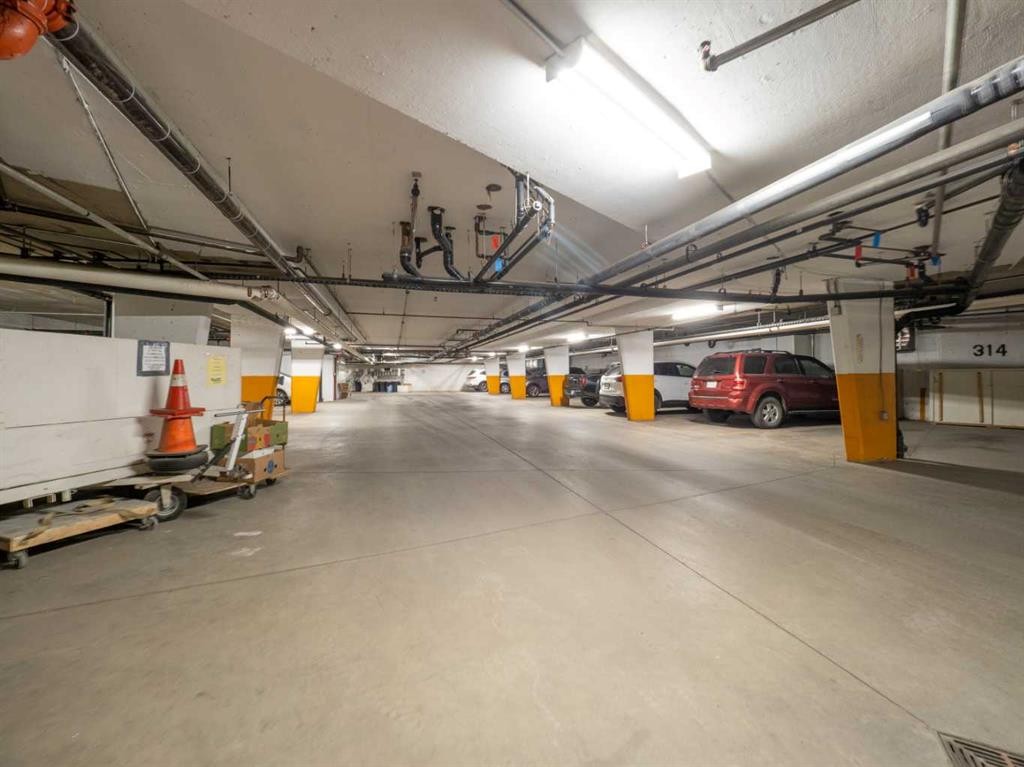 209-20 3 Street South, Lethbridge, AB - Indoor Photo Showing Garage
