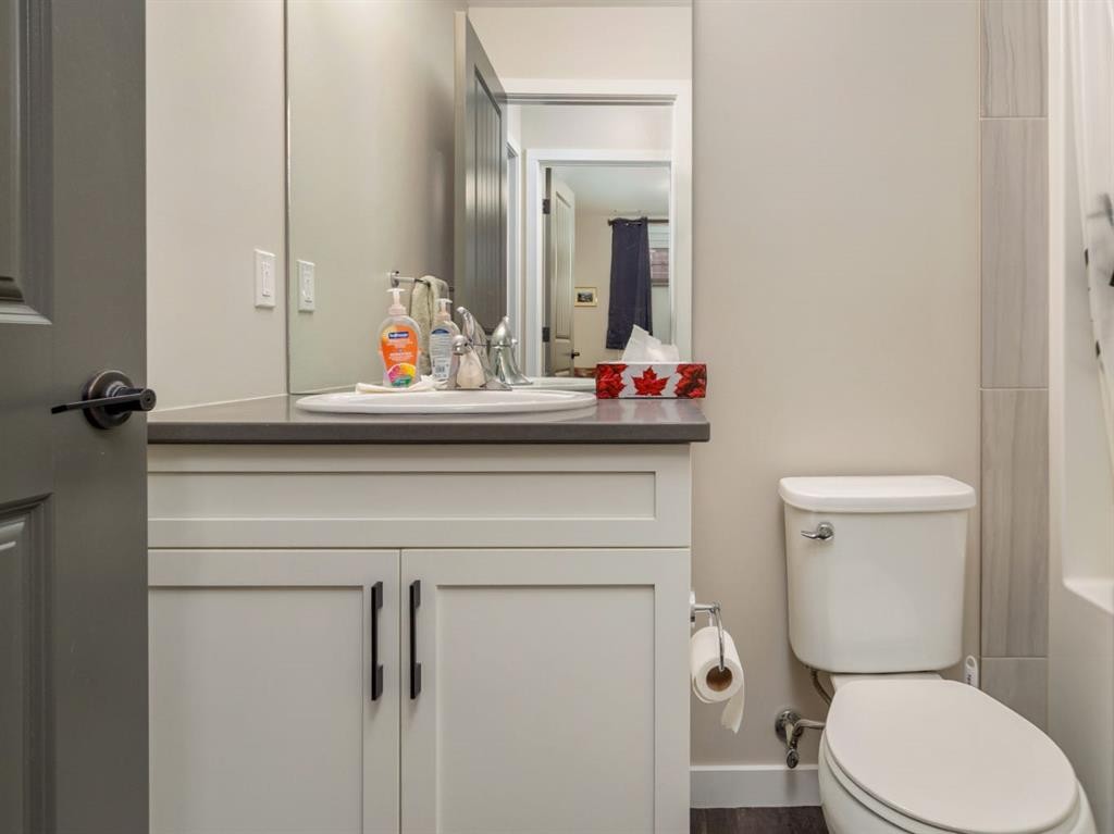 842 Greywolf Run North, Lethbridge, AB - Indoor Photo Showing Bathroom