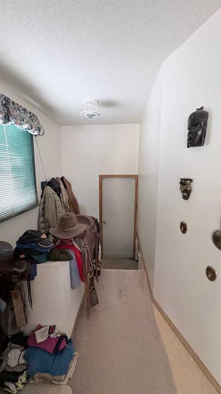 8029 Twp 102, Seven Persons, AB - Indoor