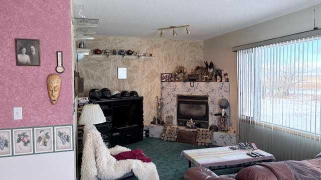 8029 Twp 102, Seven Persons, AB - Indoor Photo Showing Other Room