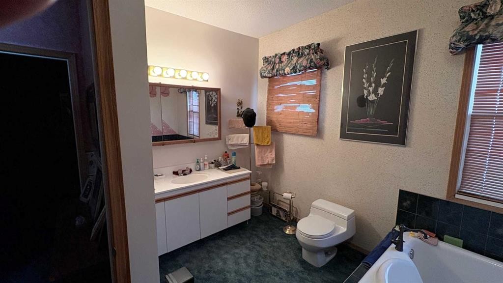 8029 Twp 102, Seven Persons, AB - Indoor Photo Showing Bathroom