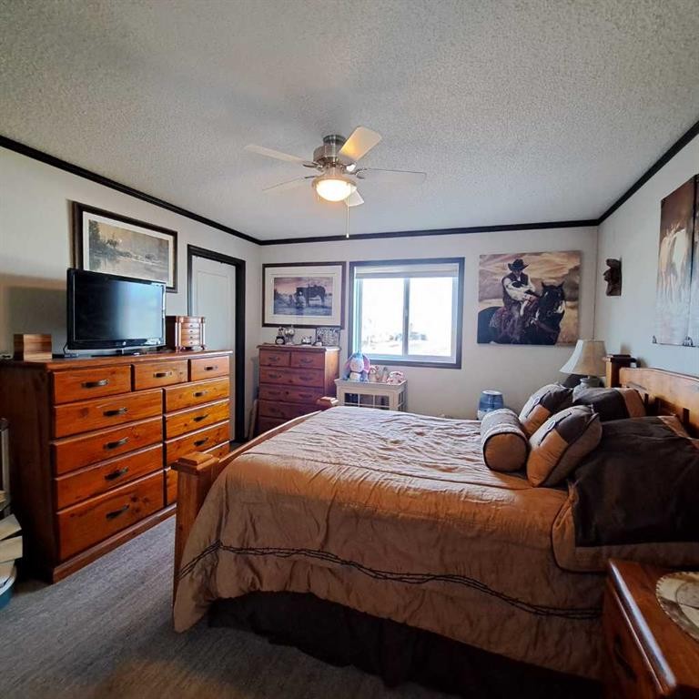 212 Engineer Avenue, Coaldale, AB