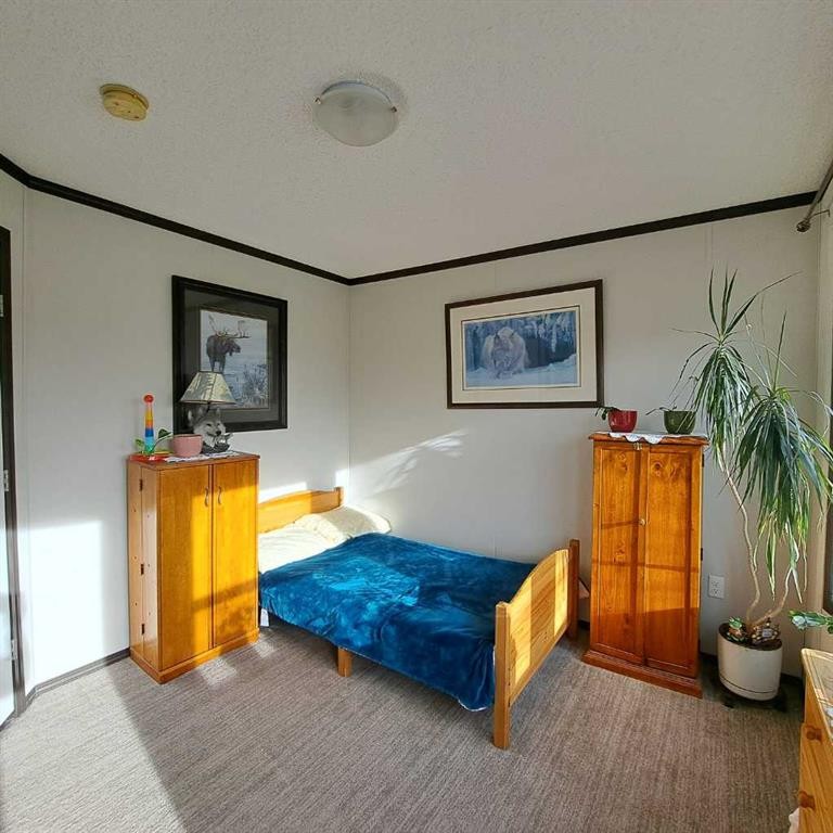 212 Engineer Avenue, Coaldale, AB