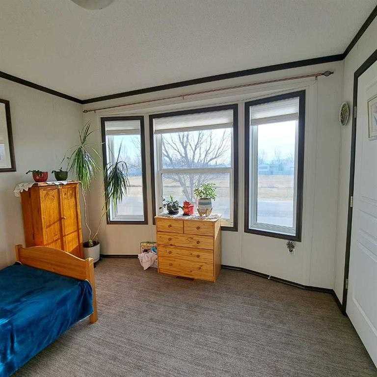 212 Engineer Avenue, Coaldale, AB