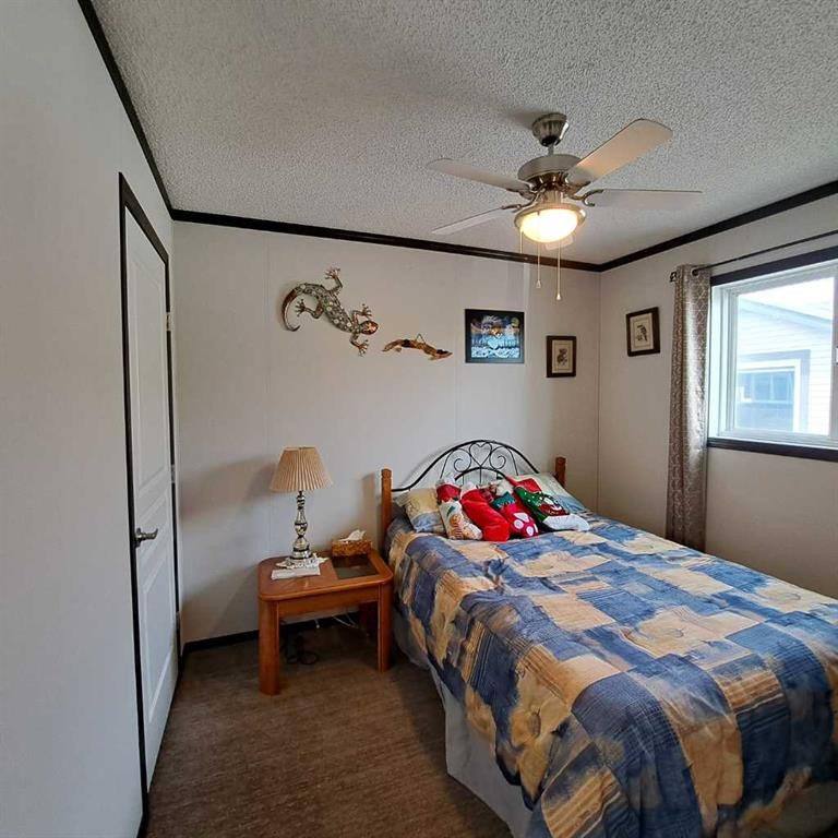 212 Engineer Avenue, Coaldale, AB