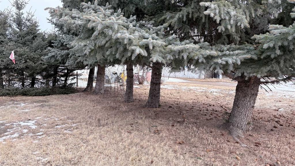 105 4Th Street West, Foremost, AB - Outdoor With View