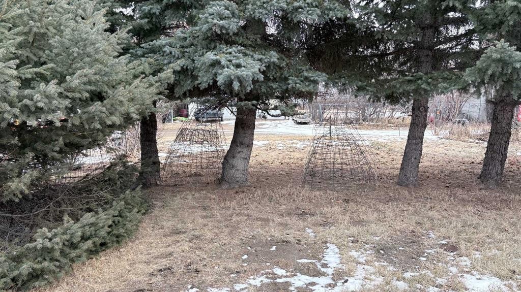 105 4Th Street West, Foremost, AB - Outdoor With View