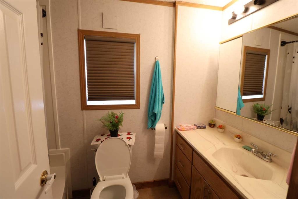 317 4 St, Bow Island, AB - Indoor Photo Showing Bathroom
