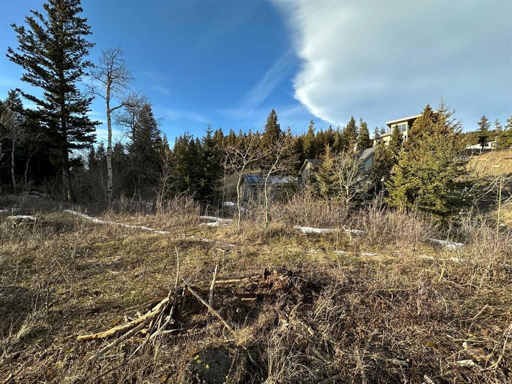 15 Kananaskis, Coleman, AB