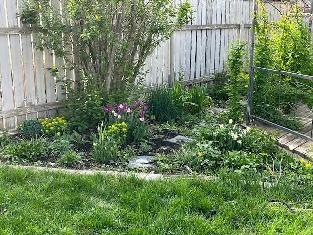 285 Jerry Potts Boulevard West, Lethbridge, AB - Outdoor