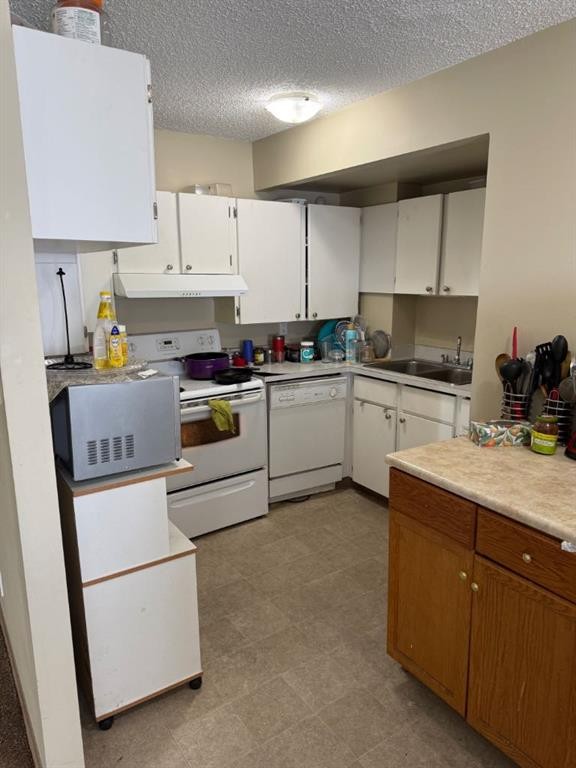 921-21 Berkeley Place West, Lethbridge, AB - Indoor Photo Showing Kitchen With Double Sink