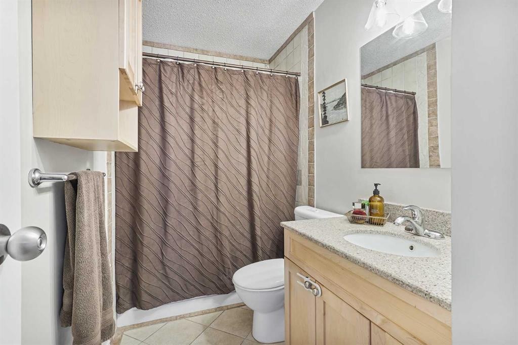 98 Eagle Road North, Lethbridge, AB - Indoor Photo Showing Bathroom