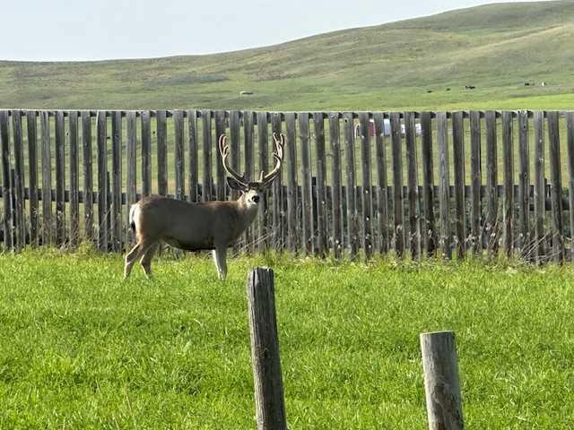 340 4Th Street North, Mountain View, AB