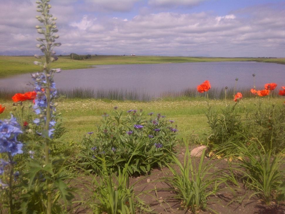 340 4Th Street North, Mountain View, AB