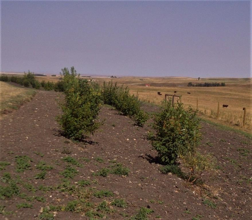 340 4Th Street North, Mountain View, AB