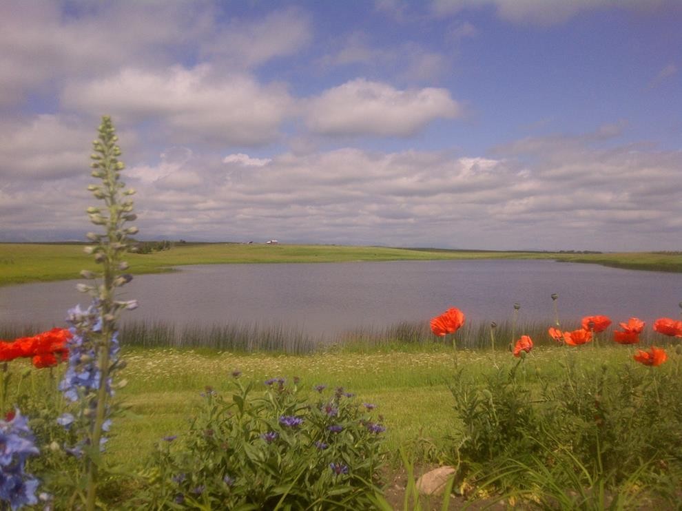 340 4Th Street North, Mountain View, AB