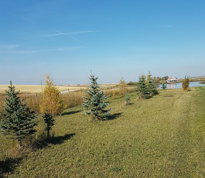 340 4Th Street North, Mountain View, AB