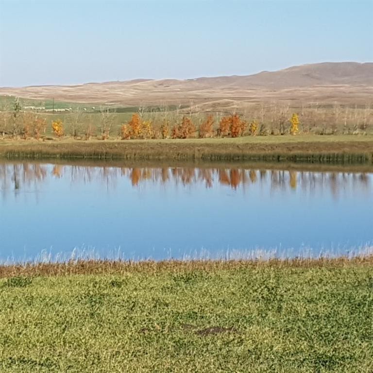 340 4Th Street North, Mountain View, AB