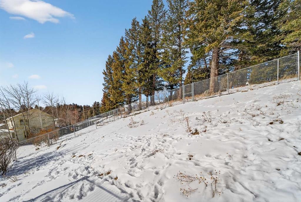 7705 24 Avenue, Coleman, AB - Outdoor