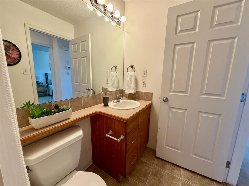 613 Squamish Lane West, Lethbridge, AB - Indoor Photo Showing Bathroom