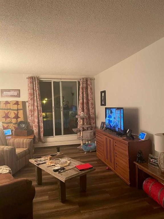 H201-2004 13 Avenue, Lethbridge, AB - Indoor Photo Showing Living Room
