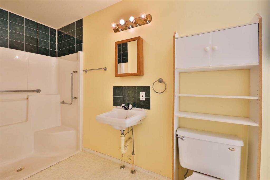 221 N 250 E, Raymond, AB - Indoor Photo Showing Bathroom
