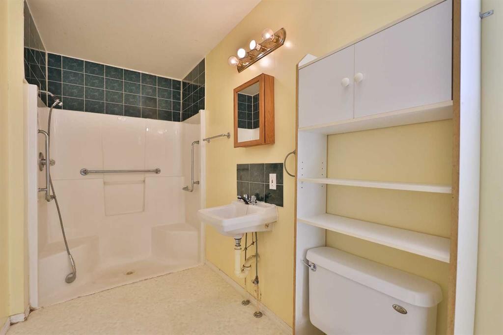 221 N 250 E, Raymond, AB - Indoor Photo Showing Bathroom