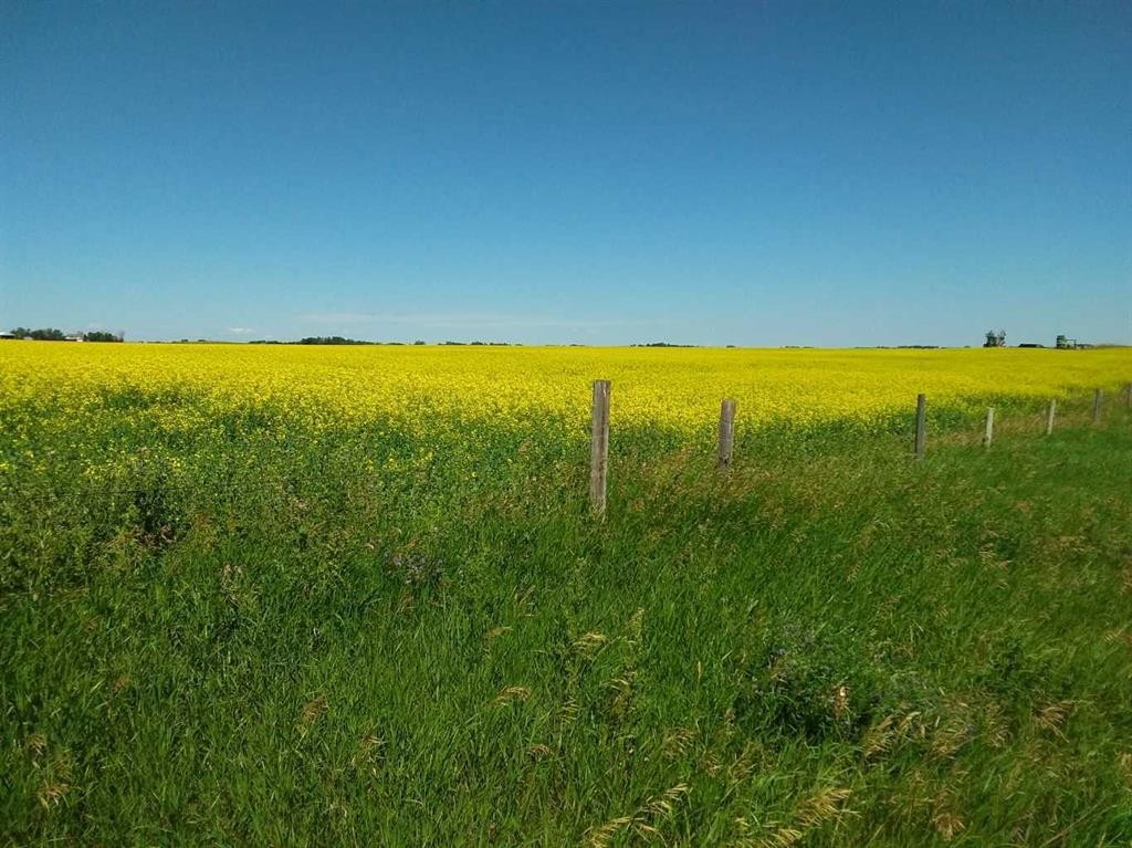4;22;9;14; Sw,Se, Rural Lethbridge County, AB