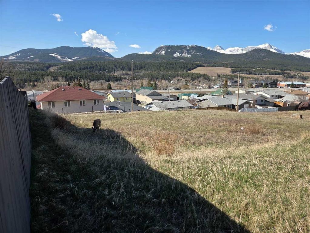 8630 21St Avenue, Coleman, AB