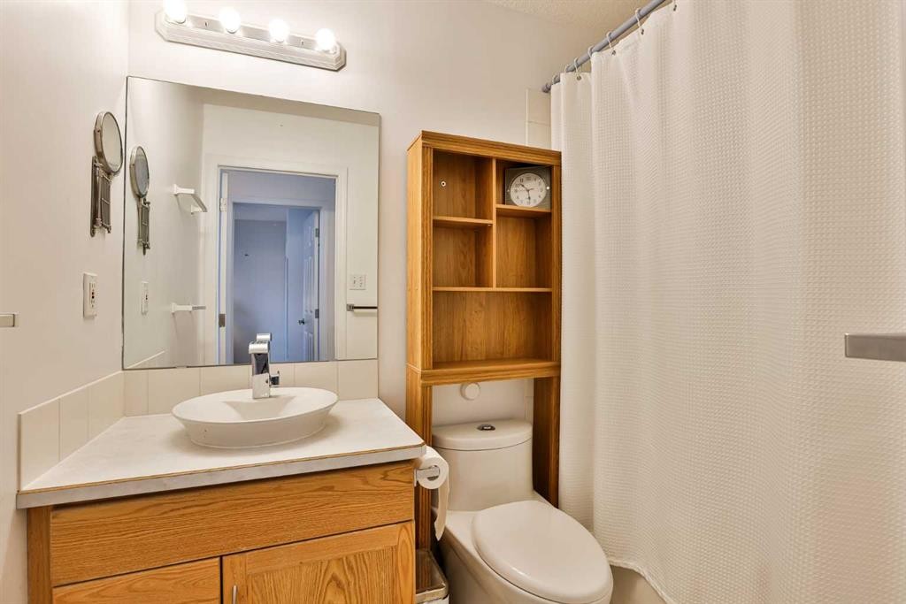 289 Cougar Way North, Lethbridge, AB - Indoor Photo Showing Bathroom