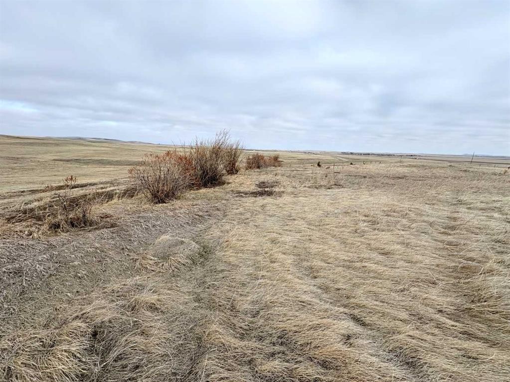 On 252 Range, Rural Cardston County, AB - Outdoor With View