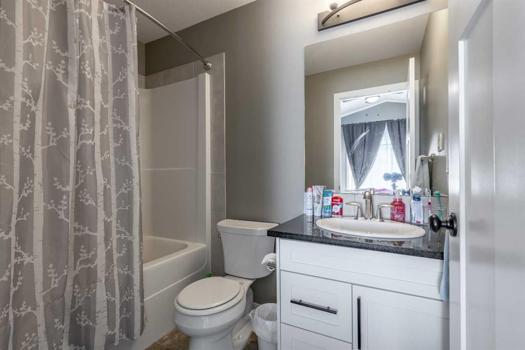 537 Blackwolf Boulevard North, Lethbridge, AB - Indoor Photo Showing Bathroom