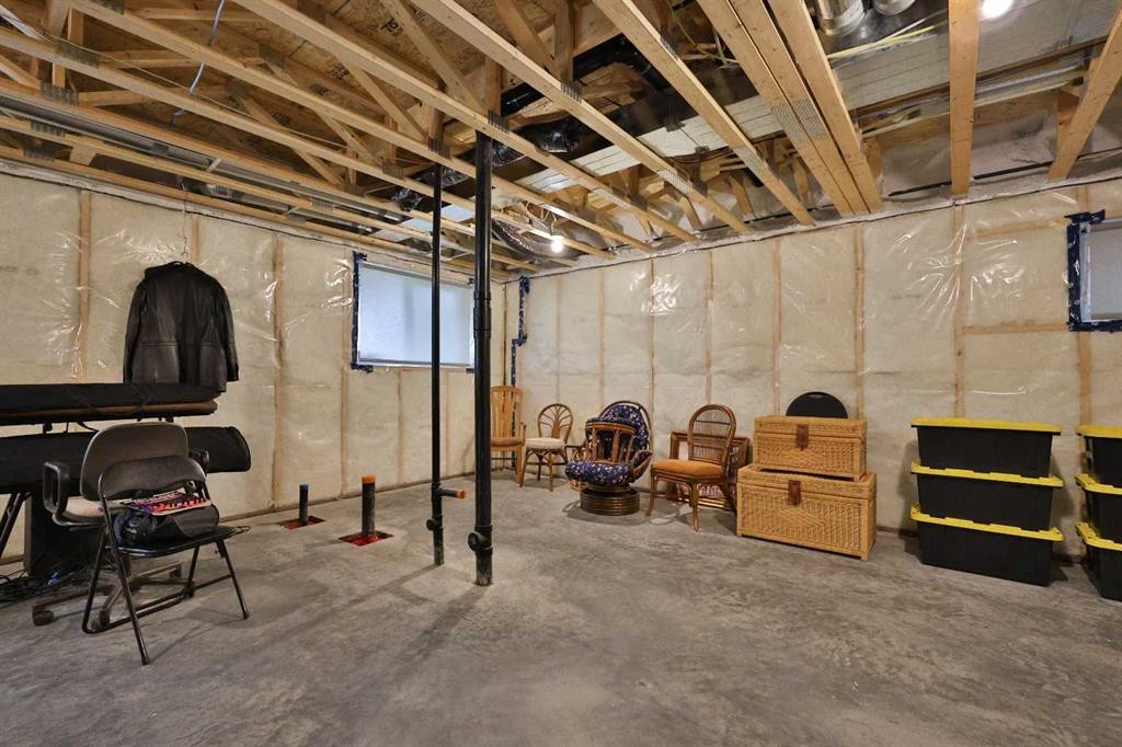 42 Blackwolf Pass North, Lethbridge, AB - Indoor Photo Showing Basement