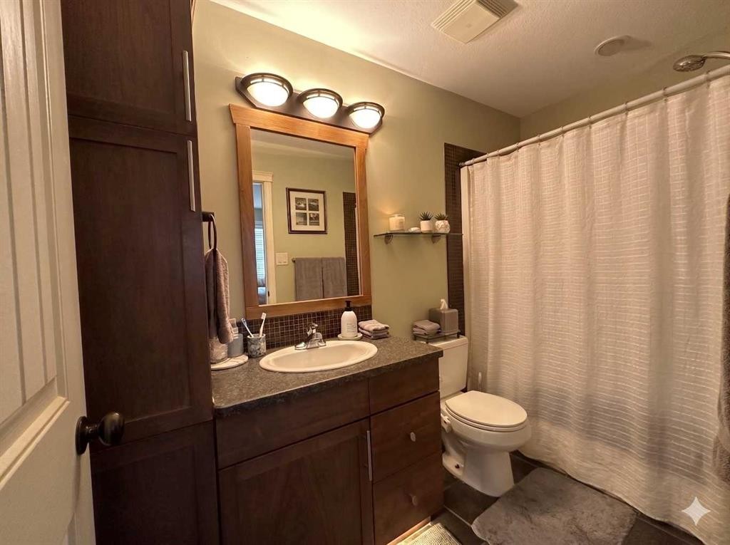 17 Ironstone Drive, Coleman, AB - Indoor Photo Showing Bathroom