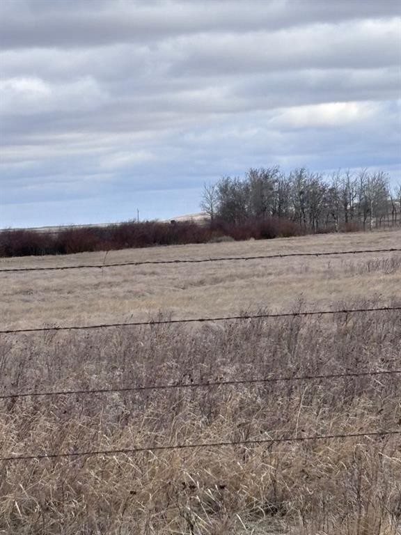 Along Hwy 12, Veteran, AB